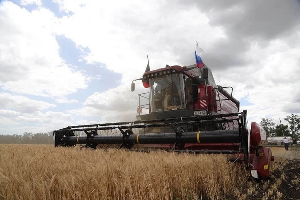 Володарский и Новоазовский районы стали лидерами посевной кампании в ДНР