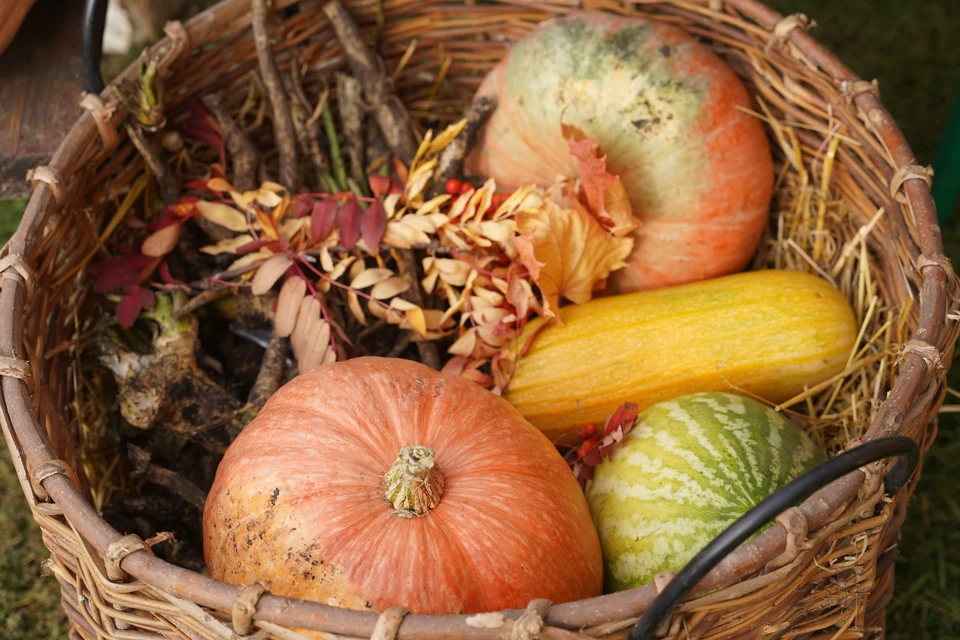 Ульяновцев приглашают посмотреть на филигрань из джута