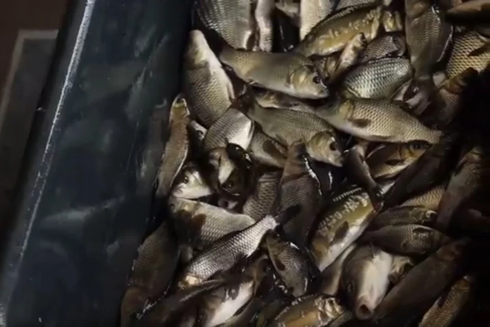 Фото: ГУ МВД по Челябинской области