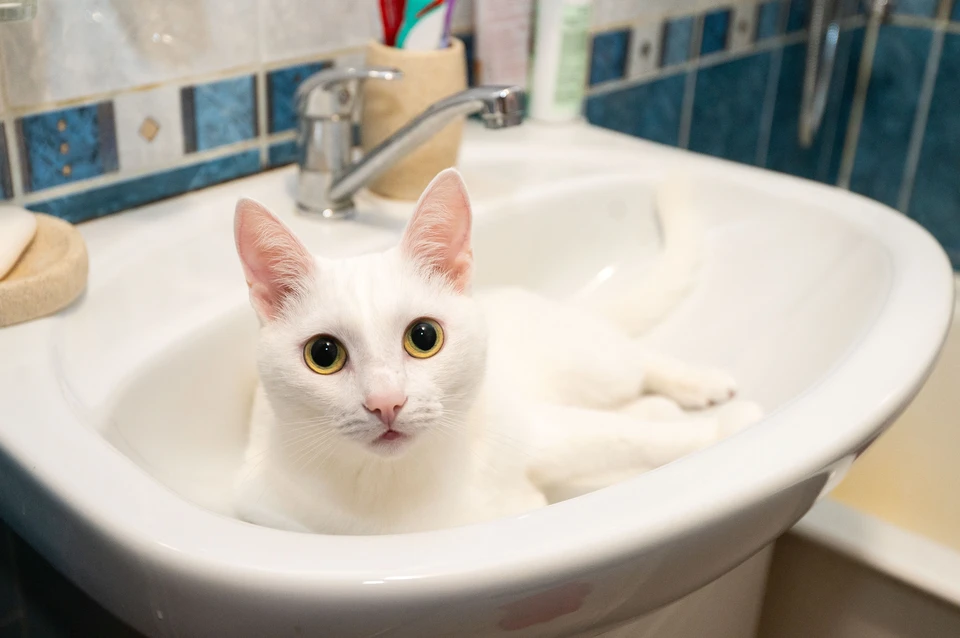 В четверг на двух рязанских улицах отключат холодную воду