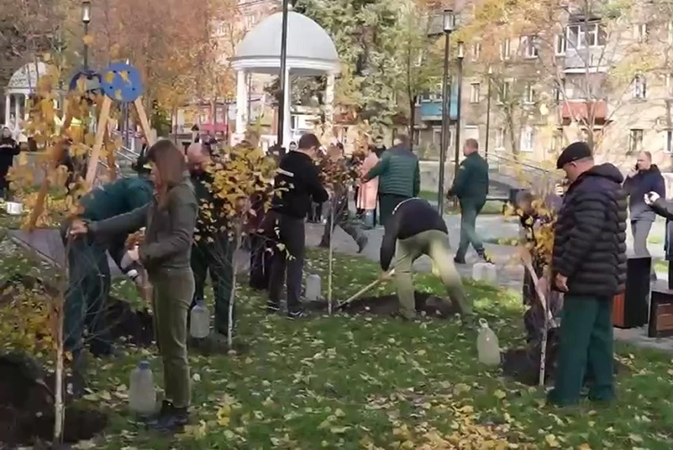 Пару лет назад таким же образом у школы №19 был заложен яблоневый сад. Фото: стоп-кадр видео из соцсети губернатора СК