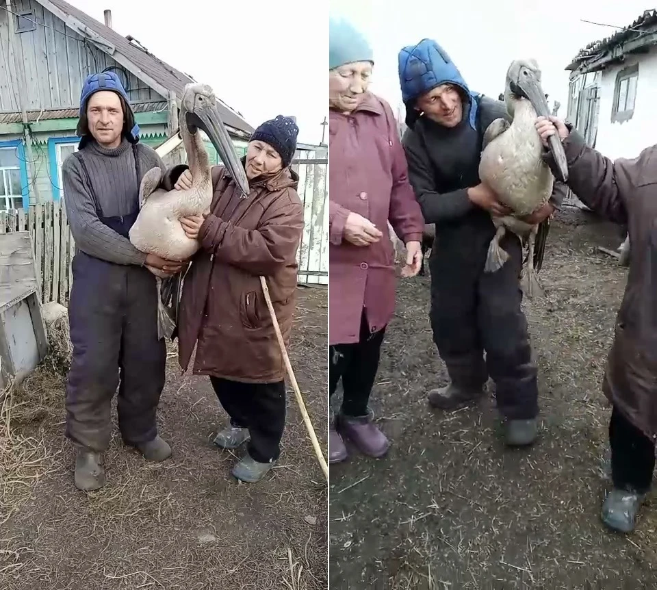 Фото: t.me/OO200let