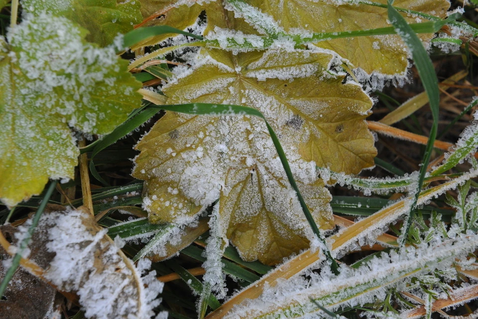 В Новосибирск придет похолодание до -10 градусов.