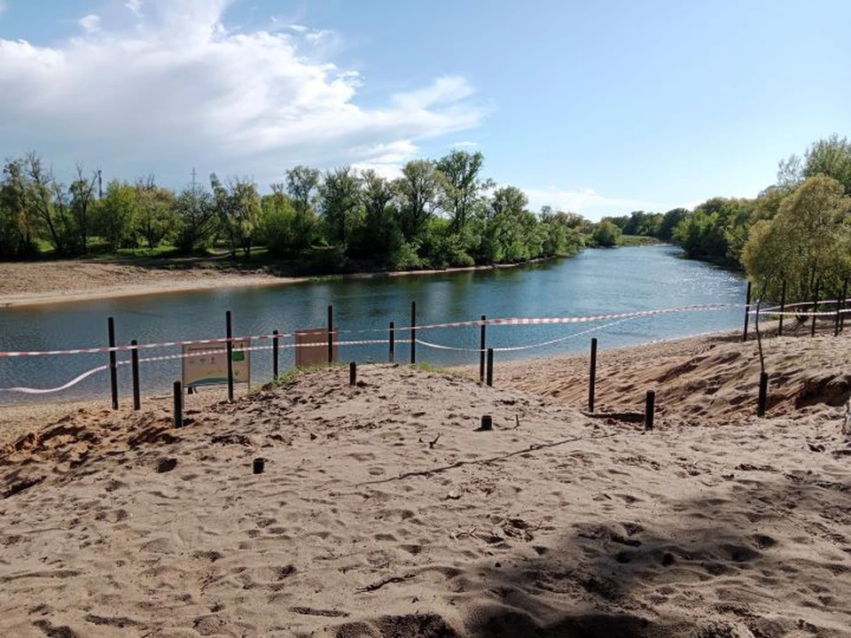 Днем в регионе будет довольно тепло