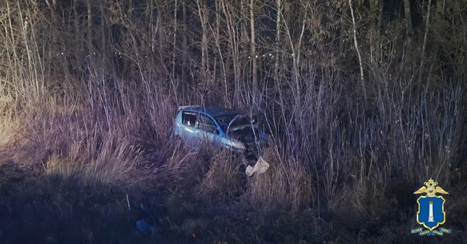 В Ульяновской области девушка попала в больницу после того, как сбила собаку. Фото: Госавтоинспекция УО
