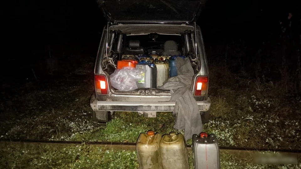 Фото: УТ МВД России по СЗФО