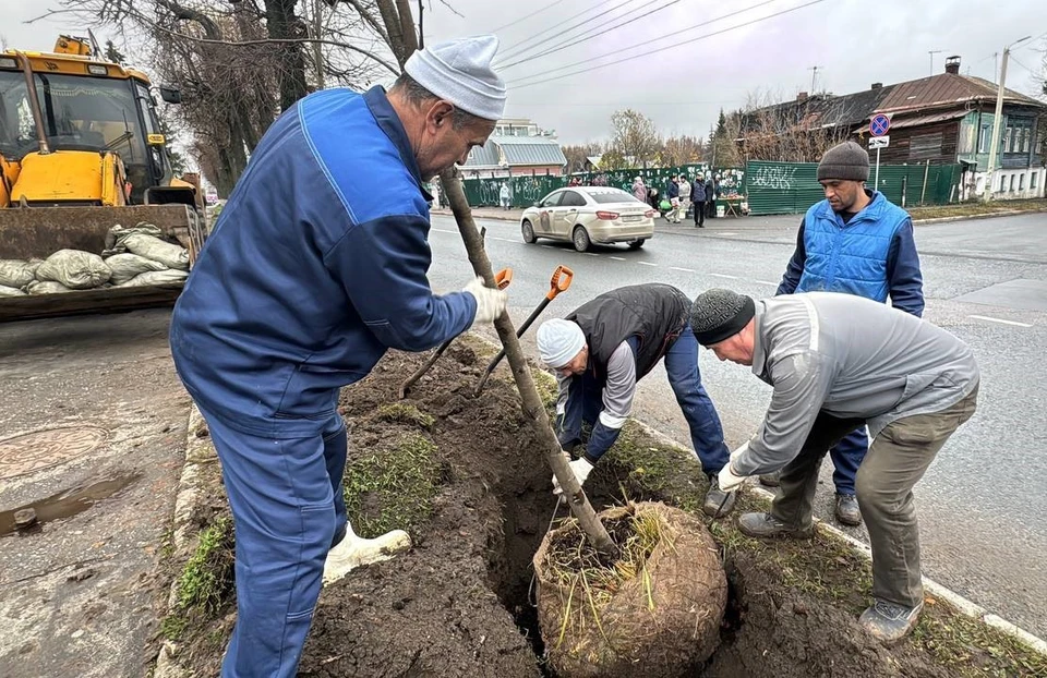 Фото МКУ ЦУГД города Владимира.
