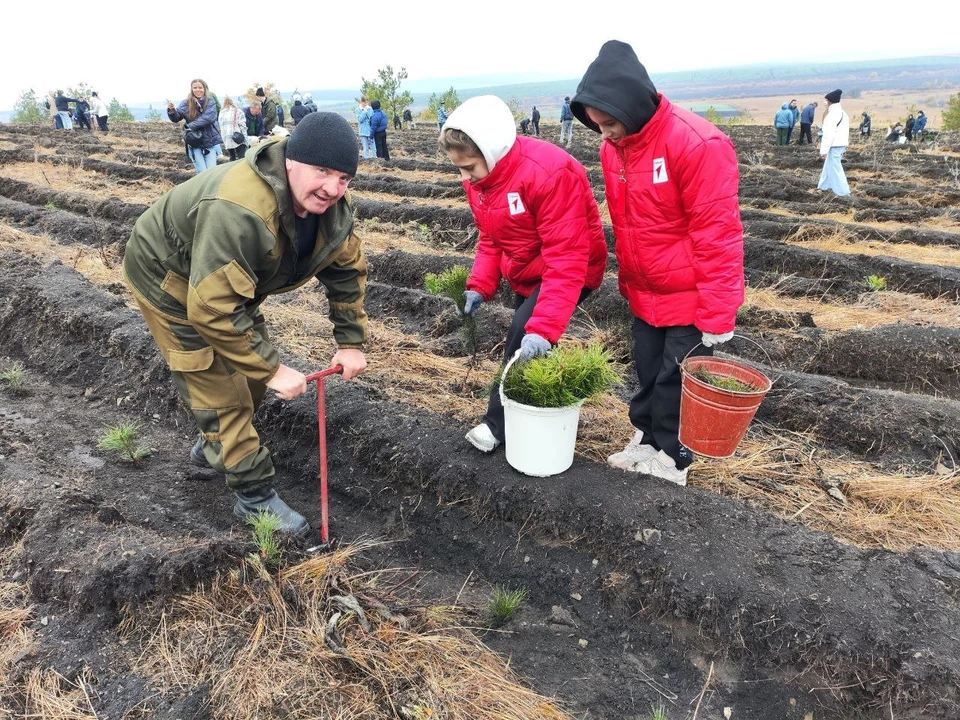 Фото: МинИнформ 64 Z