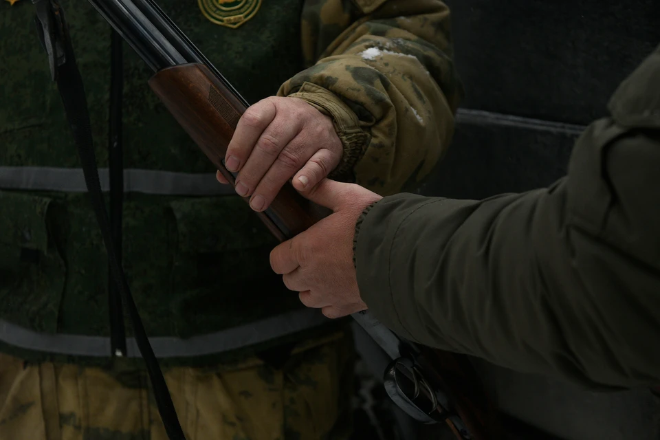 Мужчина убил животных в районе деревни Даньшино из охотничьего ружья.