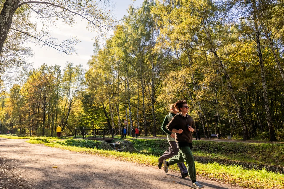 У каждого человека своя норма шагов