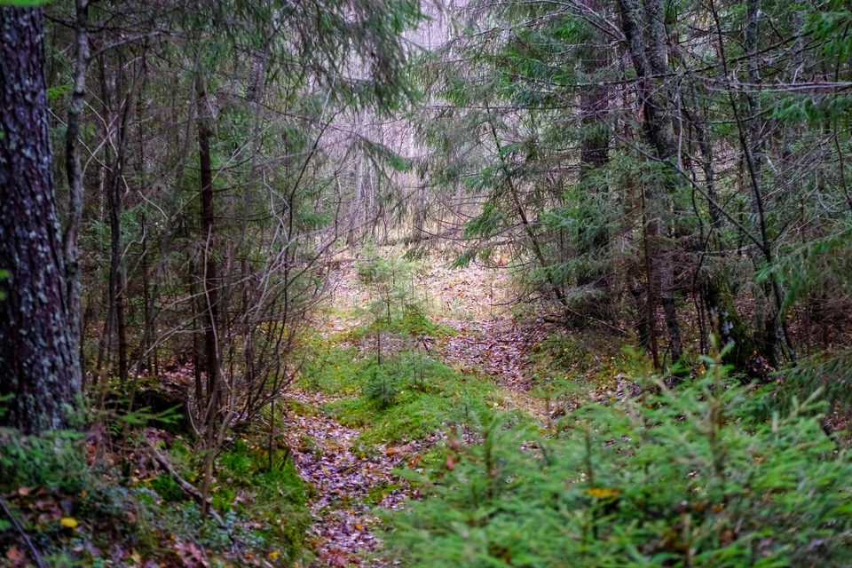 - В воду попадают бело-мутные и ярко-бордовые пенящиеся жидкости.