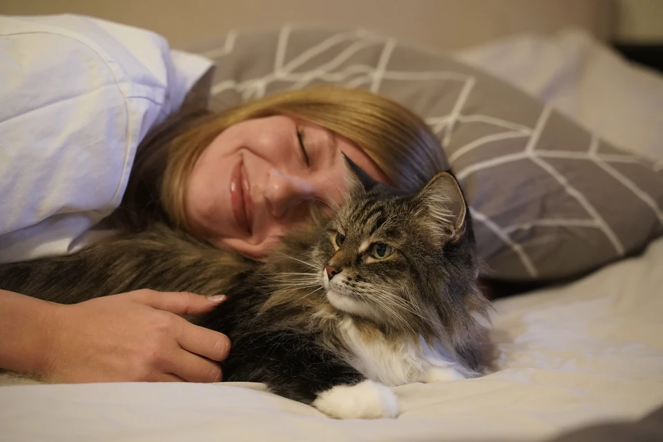 Сон с домашним питомцем может плохо влиять на его качество.