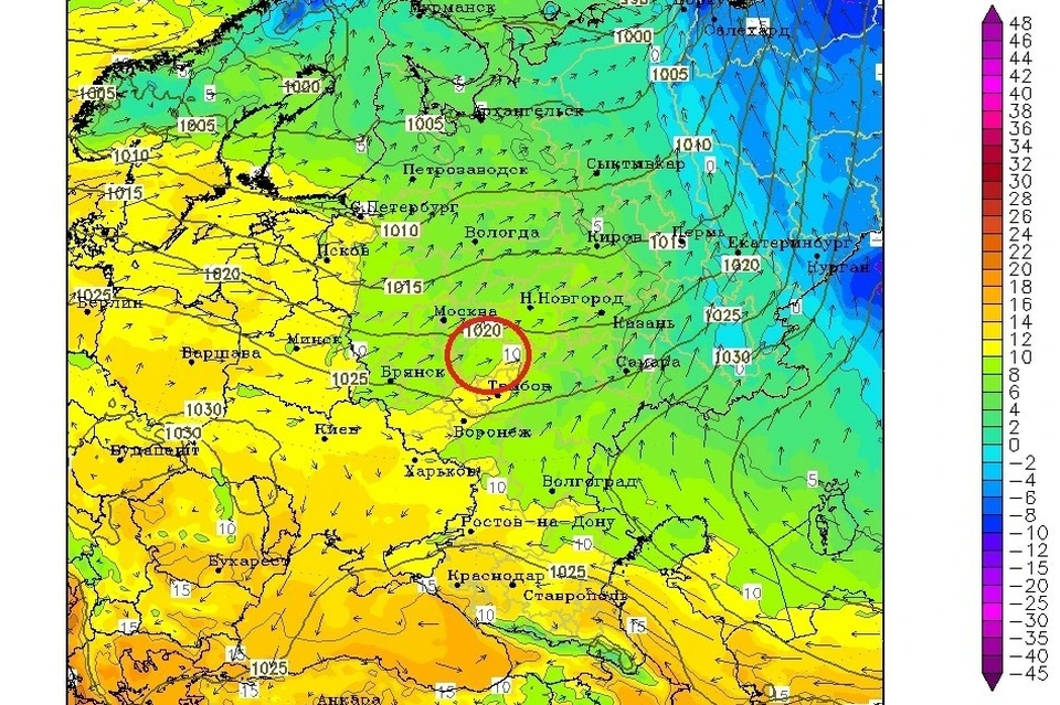 Будем надеяться, что на этот раз модель не подведет. Фото: НИЛ геохимии ландшафтов РГУ