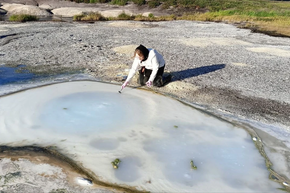 Полевые работы в кальдере вулкана Узон в 2025 году. Фото: Алина Карасева, Кроноцкий заповденик