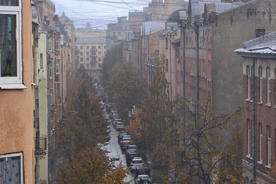 Ветер подует восточный до девяти метров в секунду.