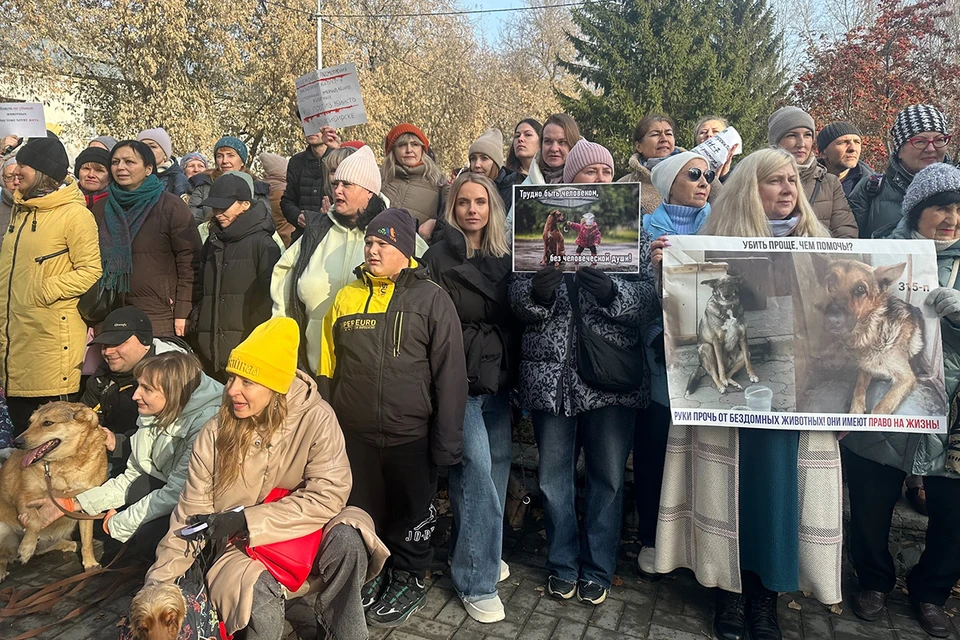 Фото: Пресс-служба партии «Новые люди»