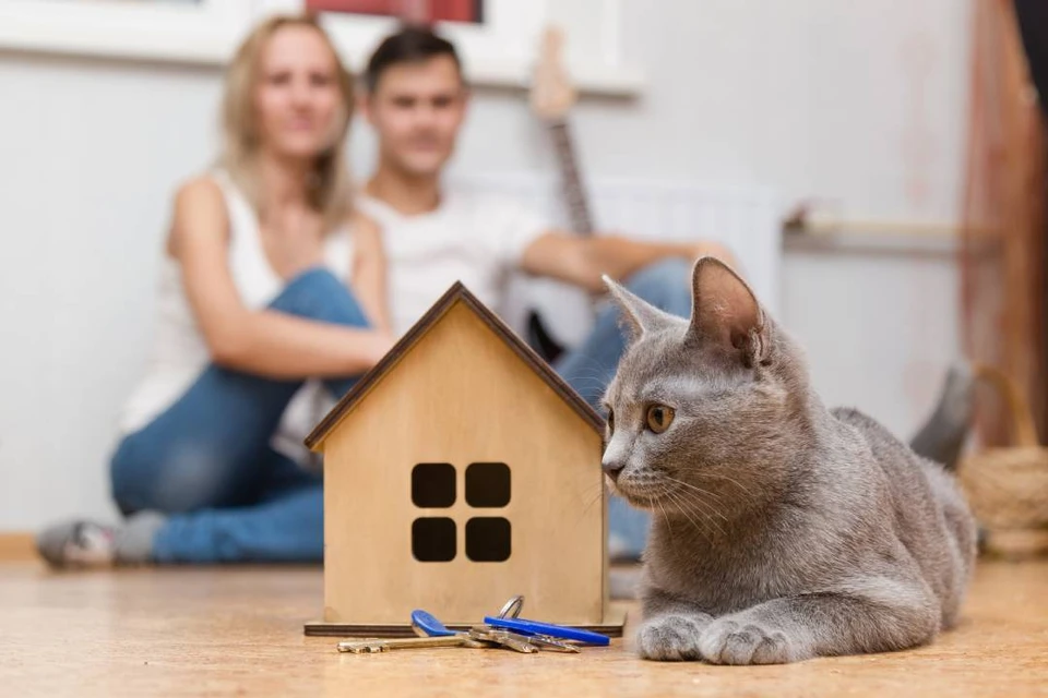 80 процентов ипотечных средств жители СЗФО получают по льготным программам.