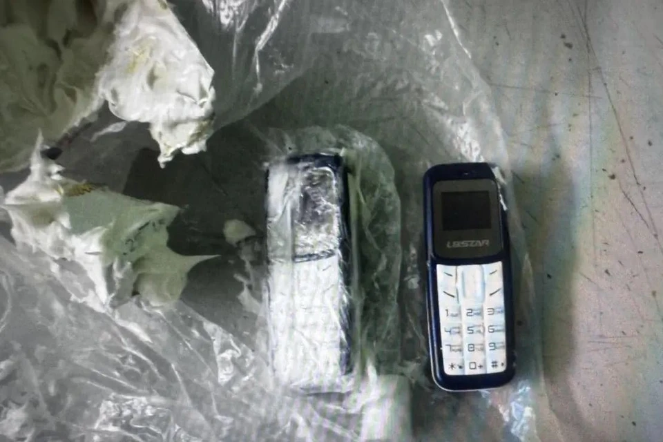 Житель Назрани отправил в ульяновскую колонию телефоны в тюбиках детского крема | ФОТО: УФСИН России по Ульяновской области