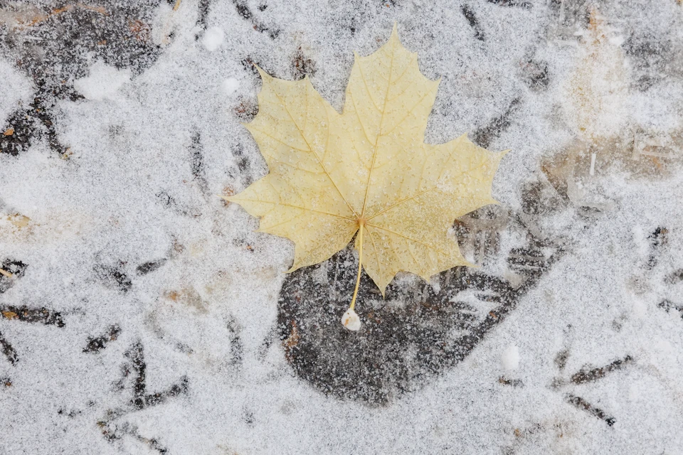 В ноябре кировчан ждут температурные «качели».