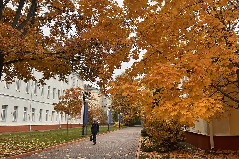 В Пансионе дочерей военных в Москве нашли любовное письмо начала XX века