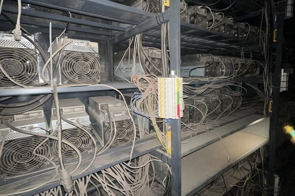 В Енакиево полиция обнаружила нелегальную майнинговую ферму. Фото: МВД по ДНР