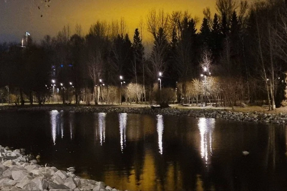 Новые фонари освещают екатеринбургский Дендропарк. Фото: telegram-канал «Дендропарк ЕКБ»