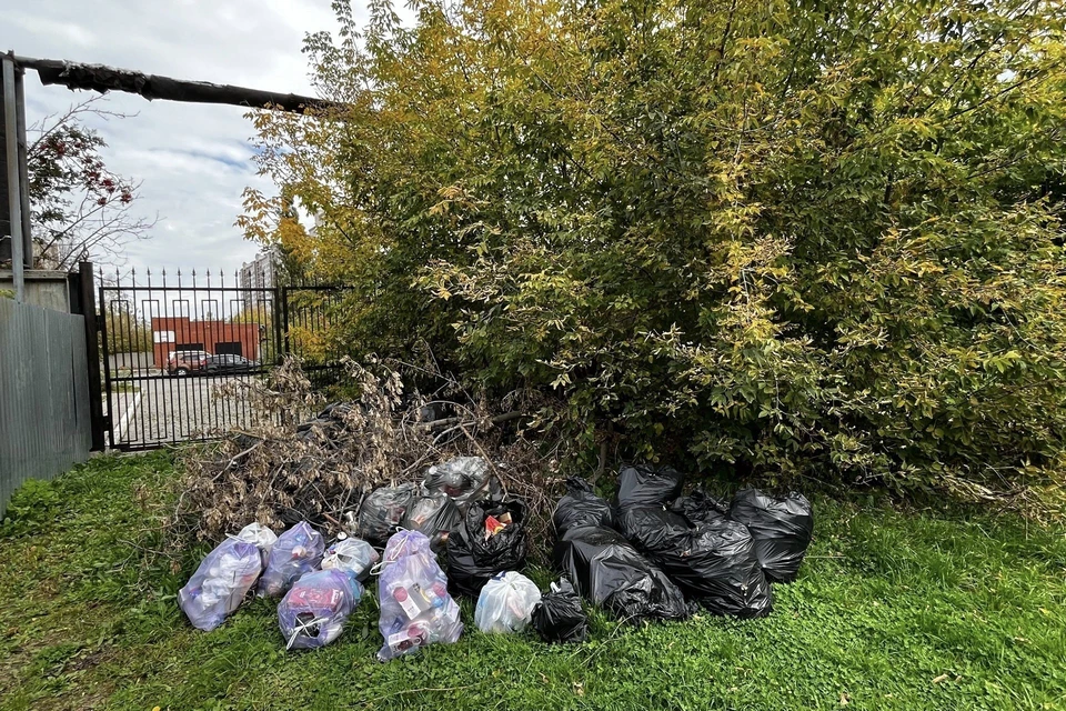 Мусор занимал около 12 квадратных метров. Фото: Минприроды Алтайского края