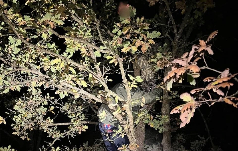 Спасатели оперативно обнаружили мальчиков на юго-западном склоне горы Ботке. Фото: МЧС Крыма/Tg