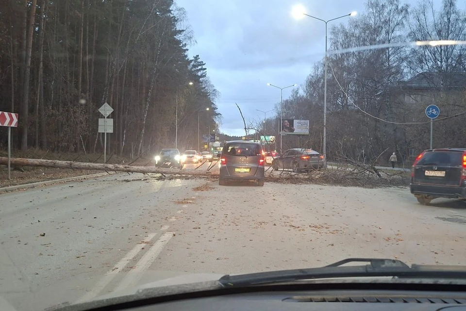Движение на участке было временно затруднено. Фото: предоставил очевидец.