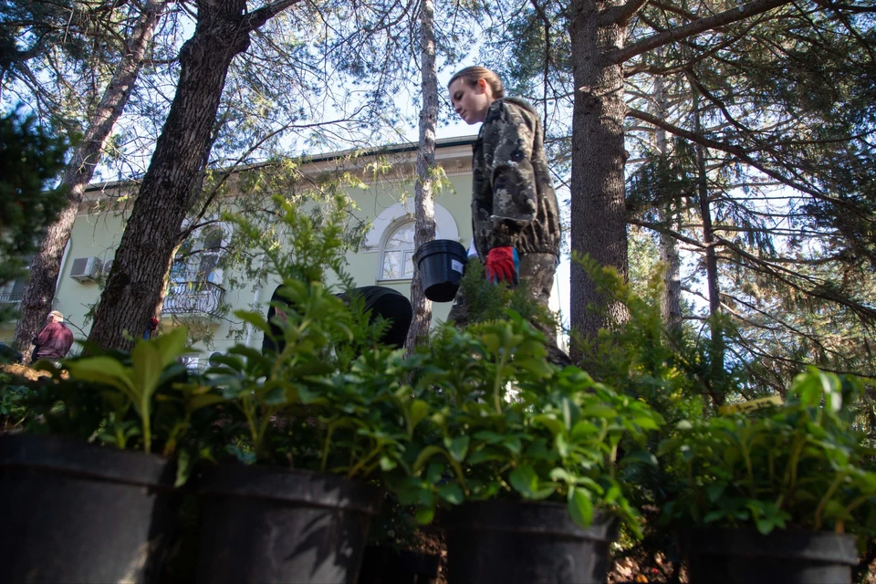 В Крыму прошла масштабная экологическая акция «Чистый Крым». Фото: Владимир Константинов/Tg