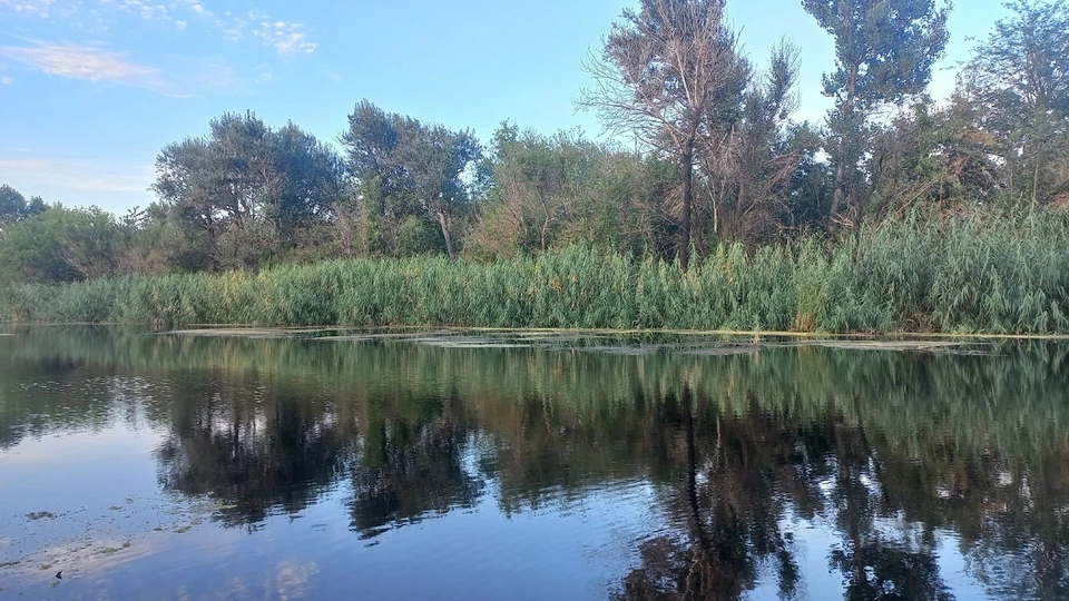 Ноябрь будет характеризоваться быстрой сменой воздушных масс