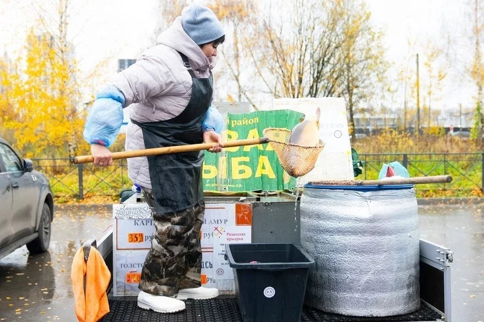 Местные рыбоводы предлагали свою продукцию. Фото: АРБ Рязанской области.