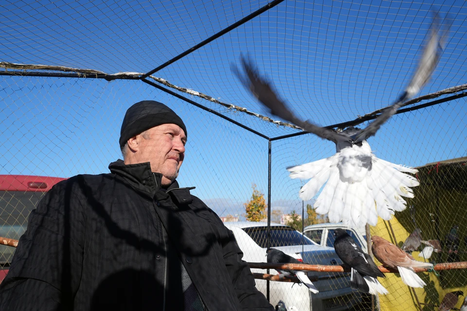 Слет голубеводов в Мариуполе