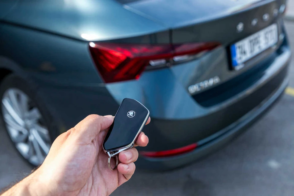 Шелков о риске низкой цены. emithamkaramuk / Shutterstock.com / Fotodom