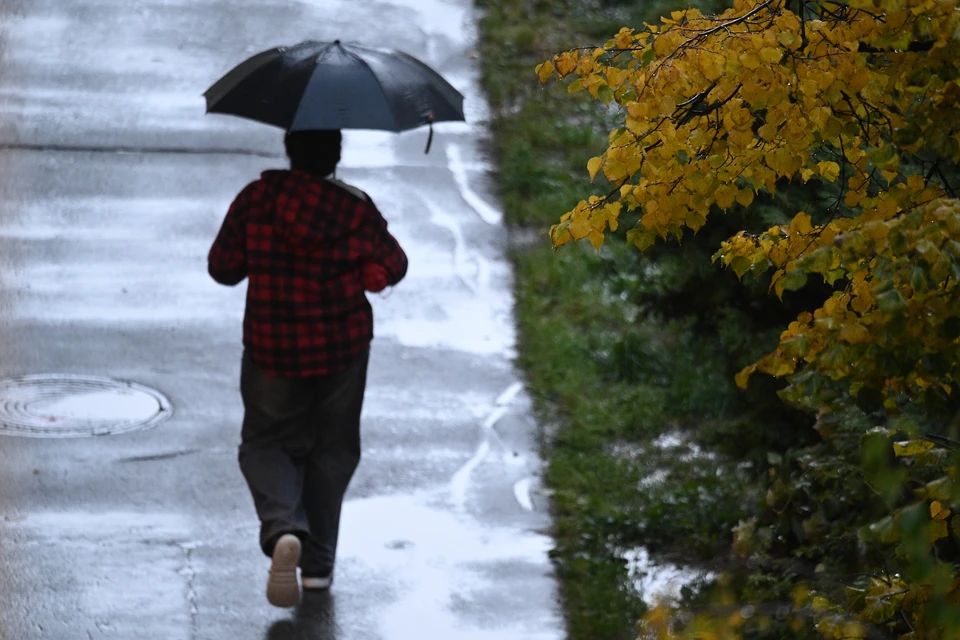 Погода в Петербурге.