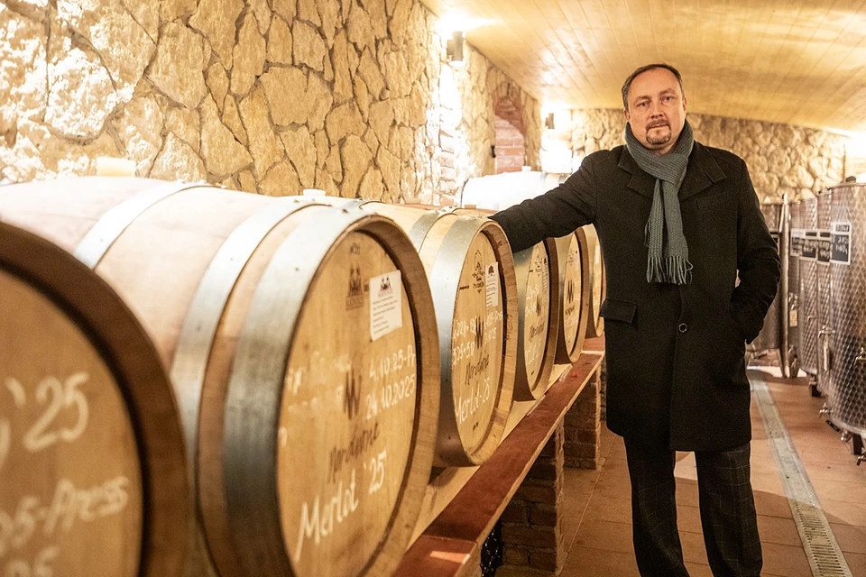 Николай Выставкин открыл винодельню в Раменском. Здесь же высадил 400 кустов винограда