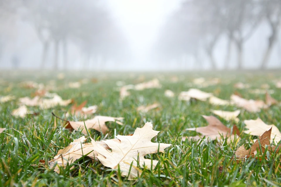 Видимость будет 500 метров и меньше.