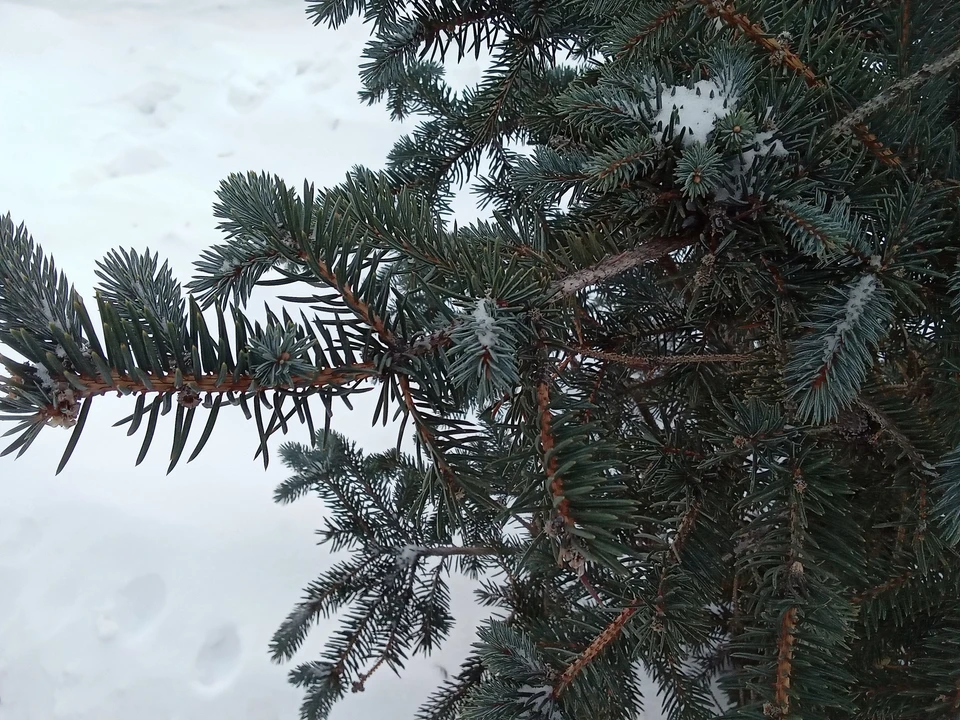 Погода на Ямале на 3 ноября