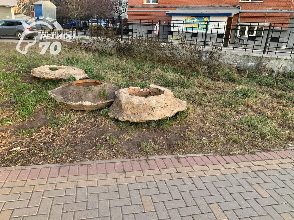 Фото: t.me/tomsk_region70