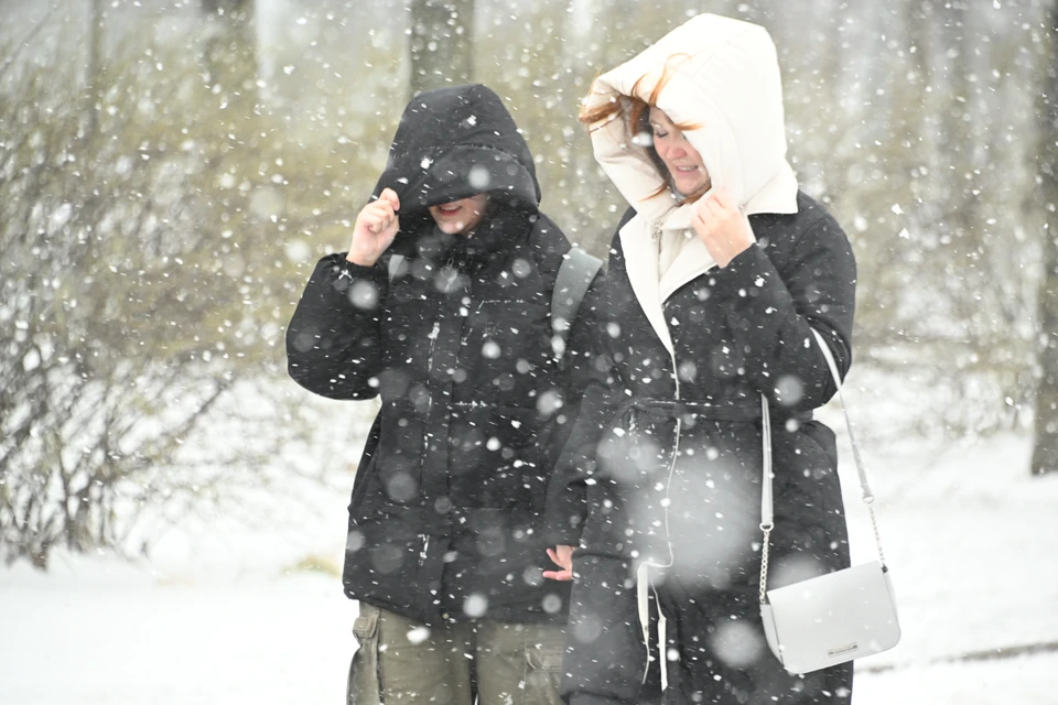 Заморозки и снег придут в Нижний Новгород 12 ноября.