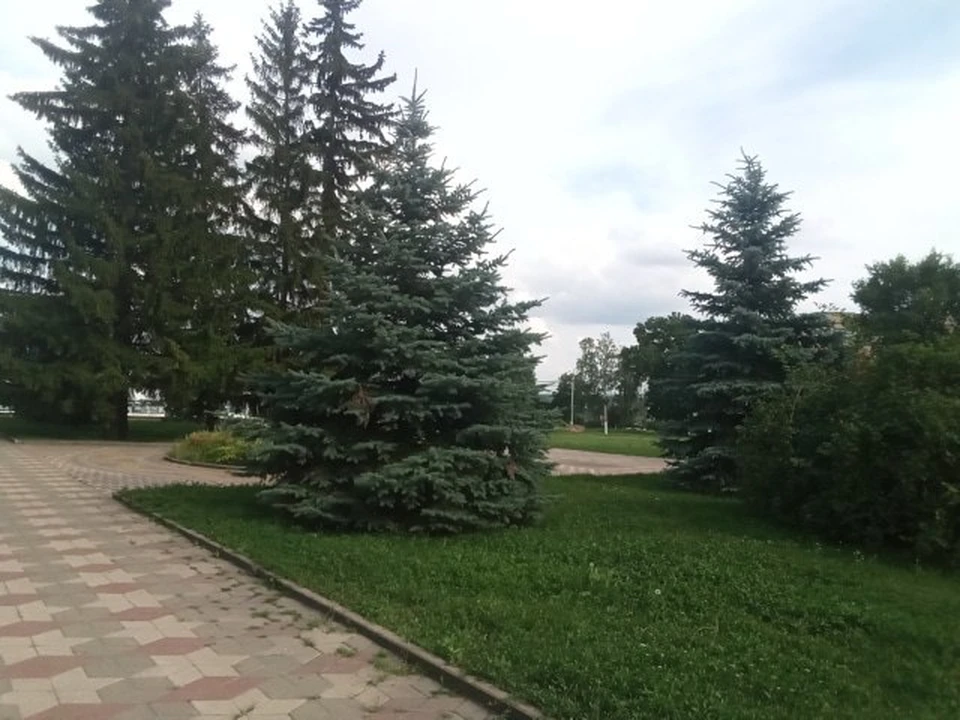 4 ноября в регионе будет сухо и относительно тепло