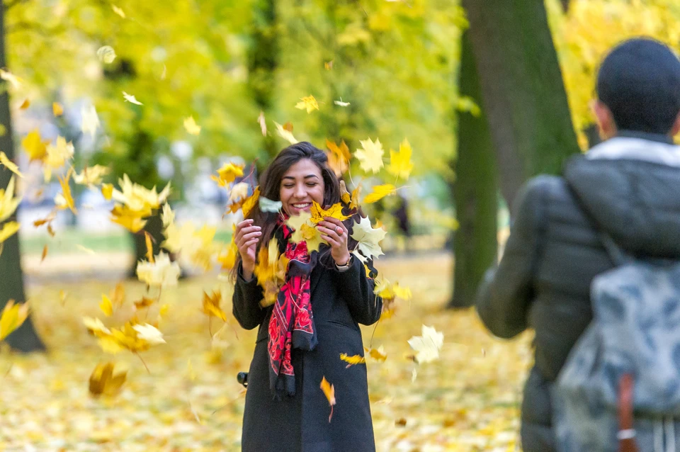 Теплую погоду прогнозируют в начале недели