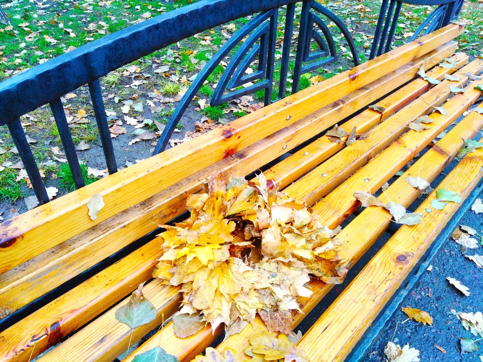 Тепло и без осадков будет в Белгородской области 4 ноября