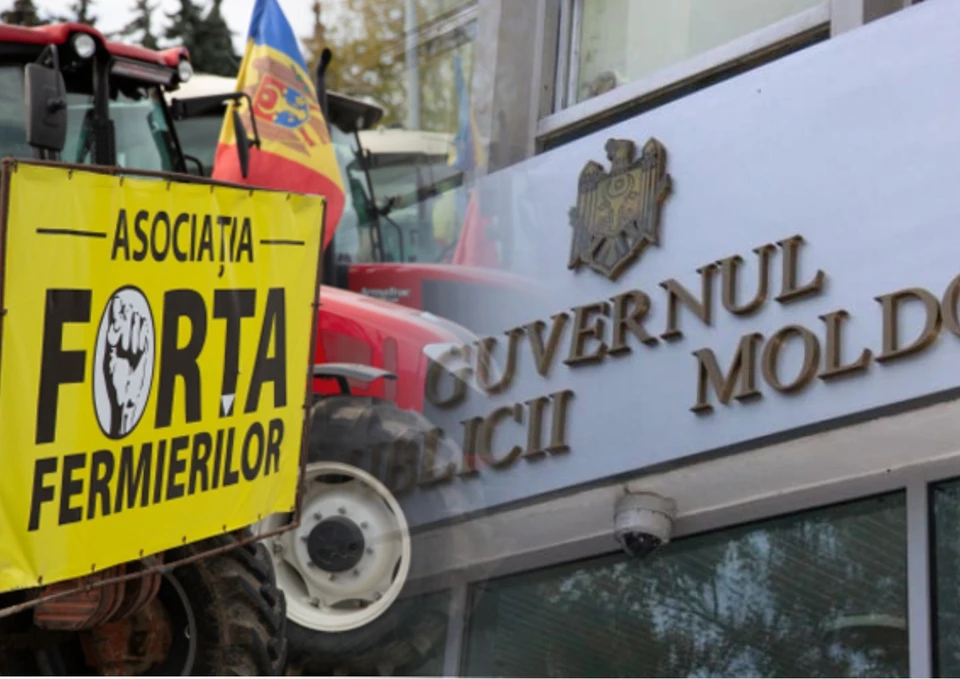 Ассоциация «Сила фермеров» обратилась в правительство с жалобой. Фото:коллаж КП