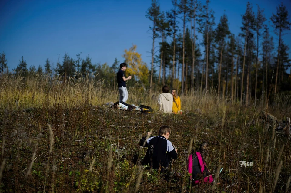 Возле Екатеринбурга зафиксировали землетрясение в 3,6 балла