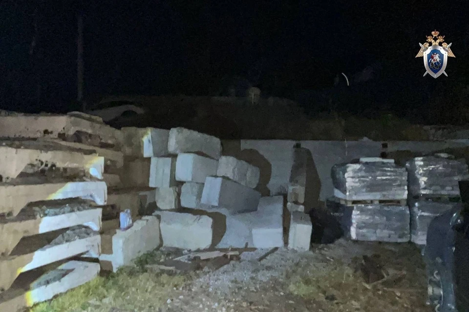 Трагедия произошла третьего ноября во дворе частного дома. Фото: Следком Приморья