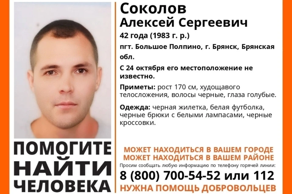 Фото: поисковый отряд "Лиза Алерт", ВКонтакте.