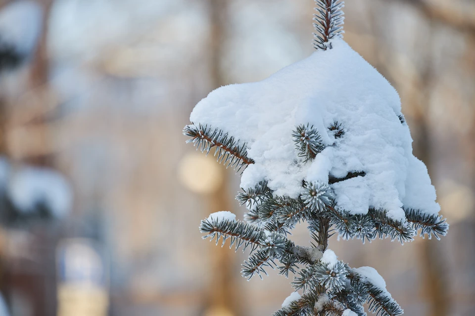Самый холодный день в Новосибирске был в январе 1915 года.