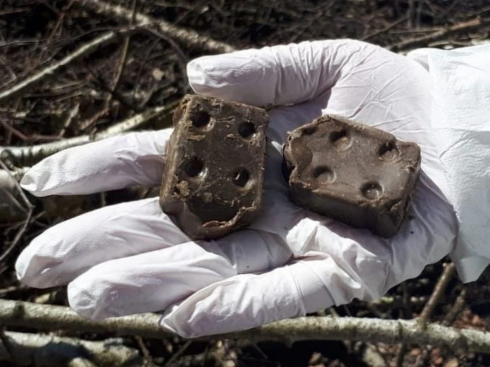 Те самые капсулы. Фото из соцсетей Правительства Владимирской области.