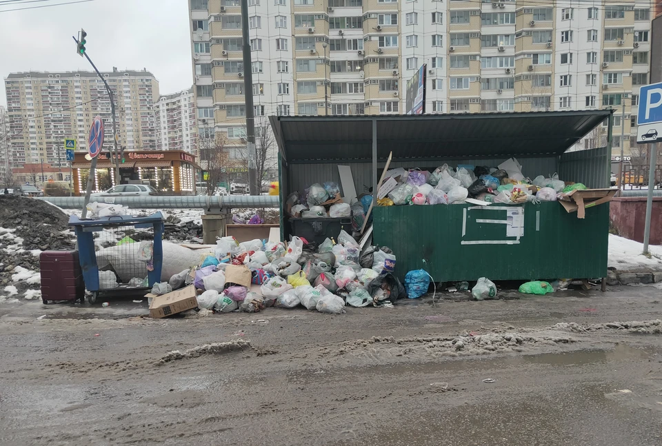 Горы мусора не вывозят из двора на улице Маяковского в Новосибирске